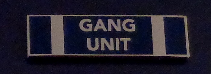 GANG UNIT Silver on BLUE uniform commendation award bar pin